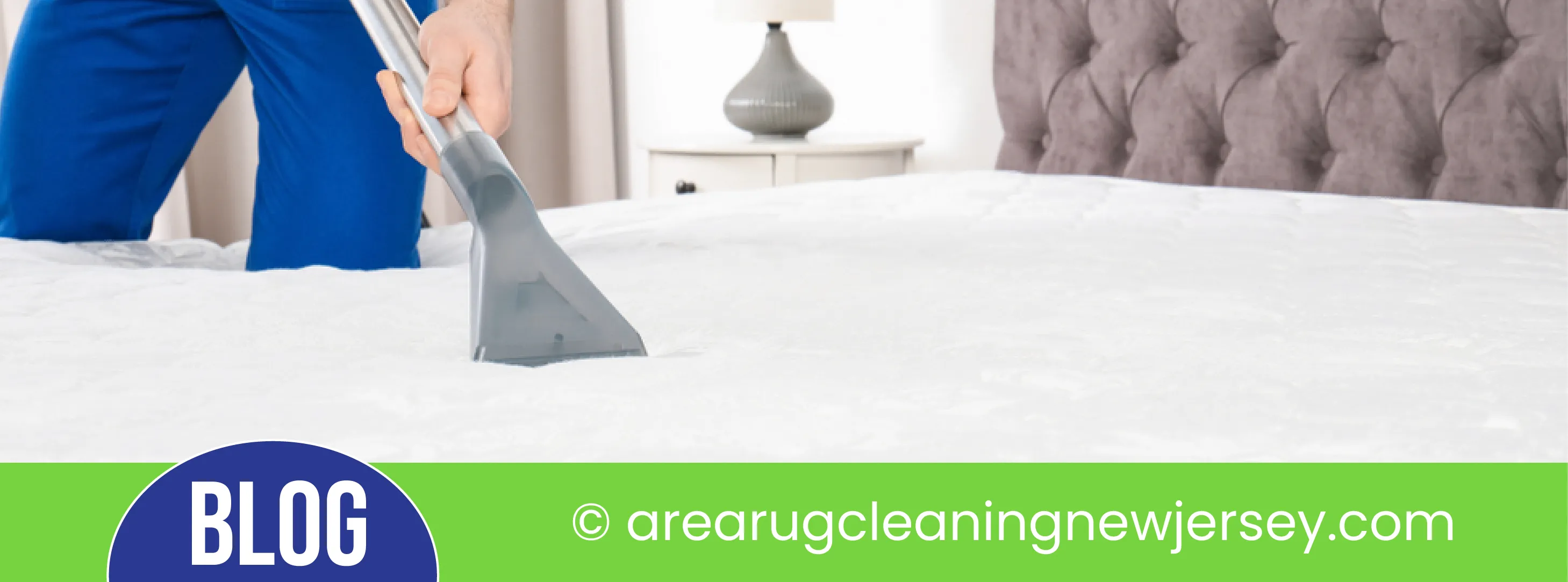 carpet cleaning in new jersey, carpet cleaning in new jersey, carpet cleaning new jersey, carpet cleaners in new jersey, carpet cleaners in new jersey, commercial carpet cleaning, commercial carpet cleaning in new jersey, new jersey rug cleaners, rug cleaning services in new jersey, same day carpet cleaning, same day rug cleaning