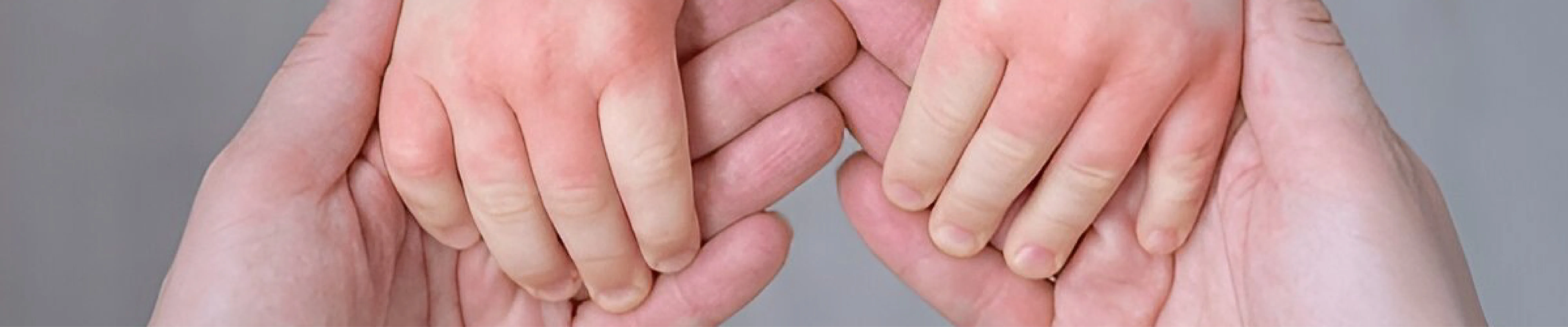 carpet cleaning in new jersey, carpet cleaning in new jersey, carpet cleaning new jersey, carpet cleaners in new jersey, carpet cleaners in new jersey, commercial carpet cleaning, commercial carpet cleaning in new jersey, new jersey rug cleaners, rug cleaning services in new jersey, same day carpet cleaning, same day rug cleaning