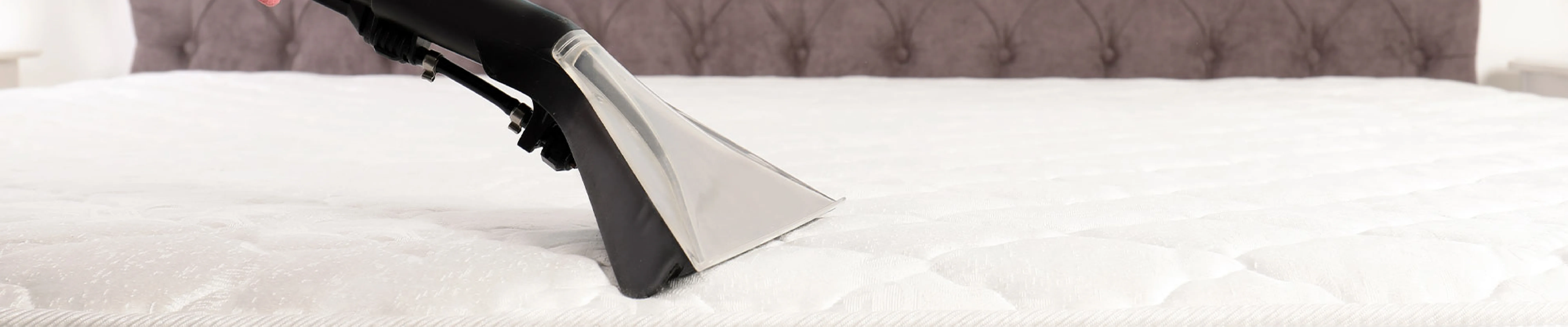 carpet cleaning in new jersey, carpet cleaning in new jersey, carpet cleaning new jersey, carpet cleaners in new jersey, carpet cleaners in new jersey, commercial carpet cleaning, commercial carpet cleaning in new jersey, new jersey rug cleaners, rug cleaning services in new jersey, same day carpet cleaning, same day rug cleaning