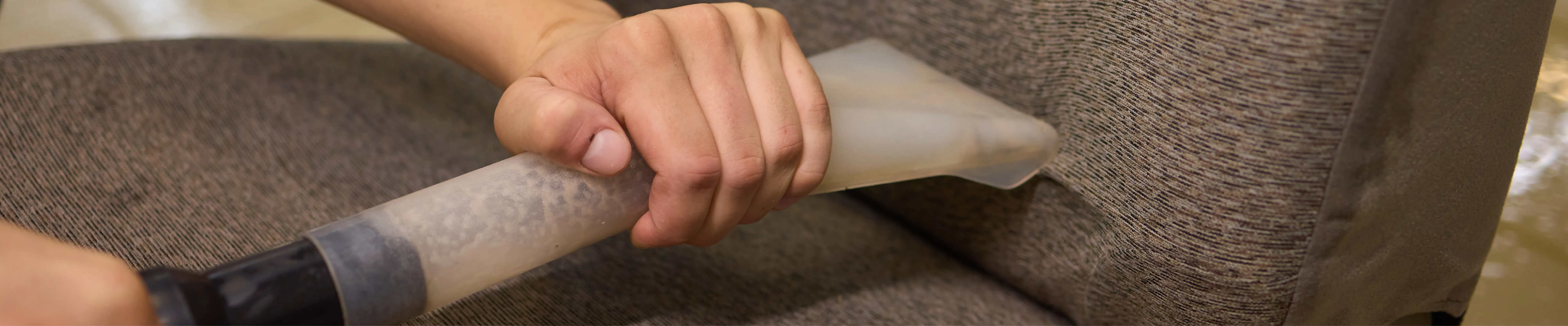 carpet cleaning in new jersey, carpet cleaning in new jersey, carpet cleaning new jersey, carpet cleaners in new jersey, carpet cleaners in new jersey, commercial carpet cleaning, commercial carpet cleaning in new jersey, new jersey rug cleaners, rug cleaning services in new jersey, same day carpet cleaning, same day rug cleaning