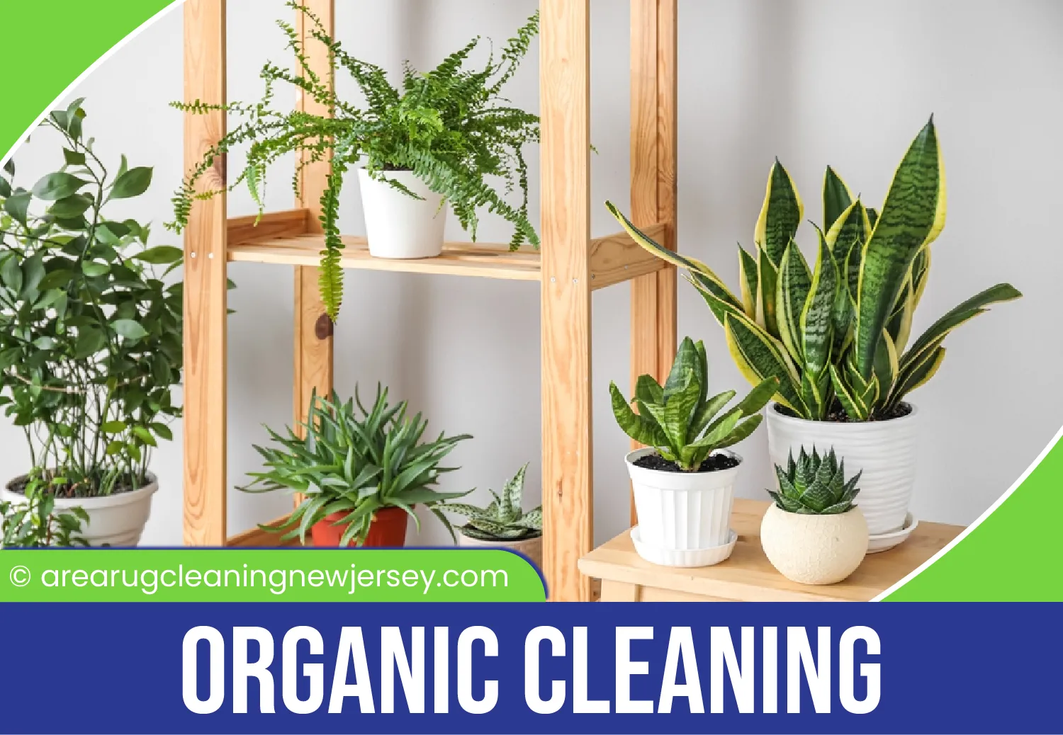 carpet cleaning in new jersey, carpet cleaning in new jersey, carpet cleaning new jersey, carpet cleaners in new jersey, carpet cleaners in new jersey, commercial carpet cleaning, commercial carpet cleaning in new jersey, new jersey rug cleaners, rug cleaning services in new jersey, same day carpet cleaning, same day rug cleaning